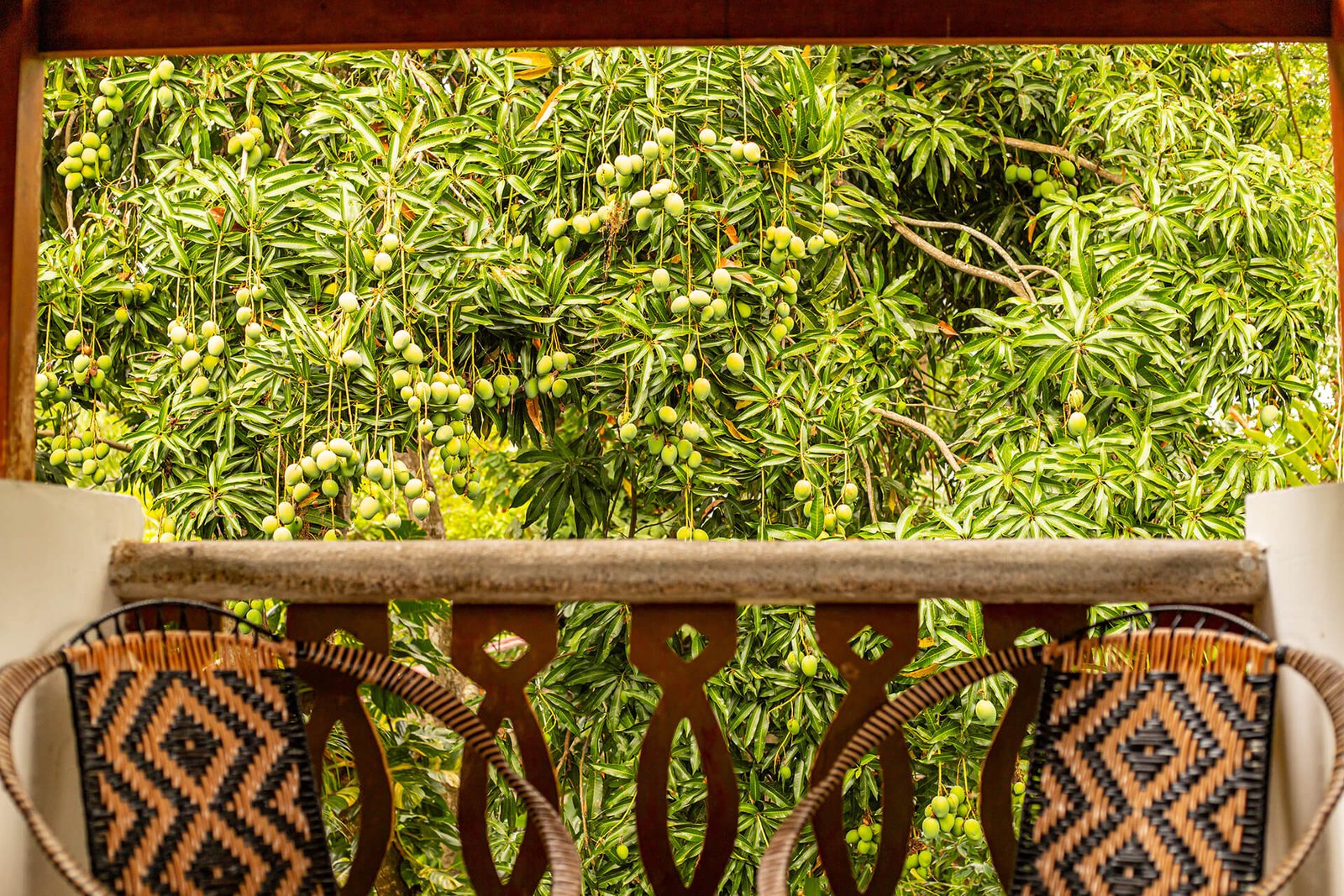 Habitación 8 Cuádruple 10 - Tayrona
